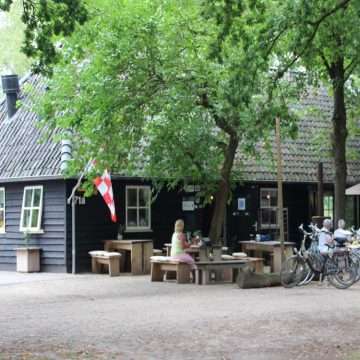 Afbeelding zonder ALT