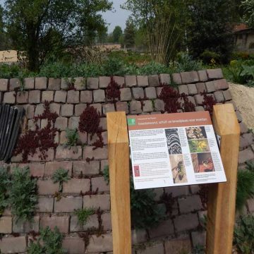 Afbeelding zonder ALT